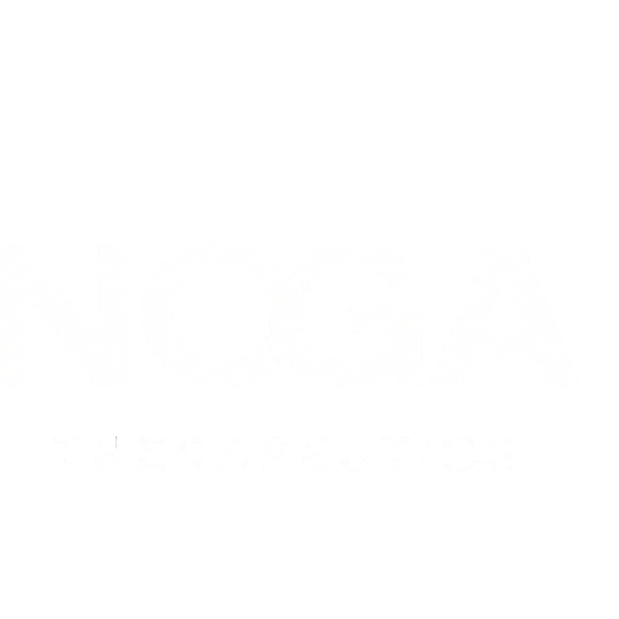 NOGA Therapeutics Logo